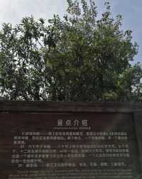 古聖先賢祠——嫘祖廟。
