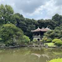 【東京旅行】新宿御苑-庭園寧靜時光与霓虹繁華景