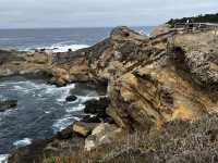 Point Lobos 州保護區。