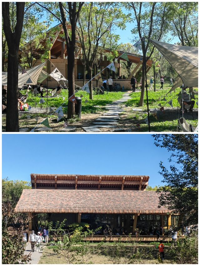 南囿秋風·南苑森林濕地公園。