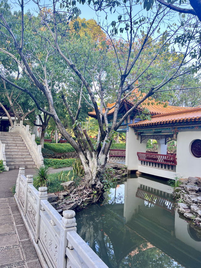 開遠瀘江公園。。