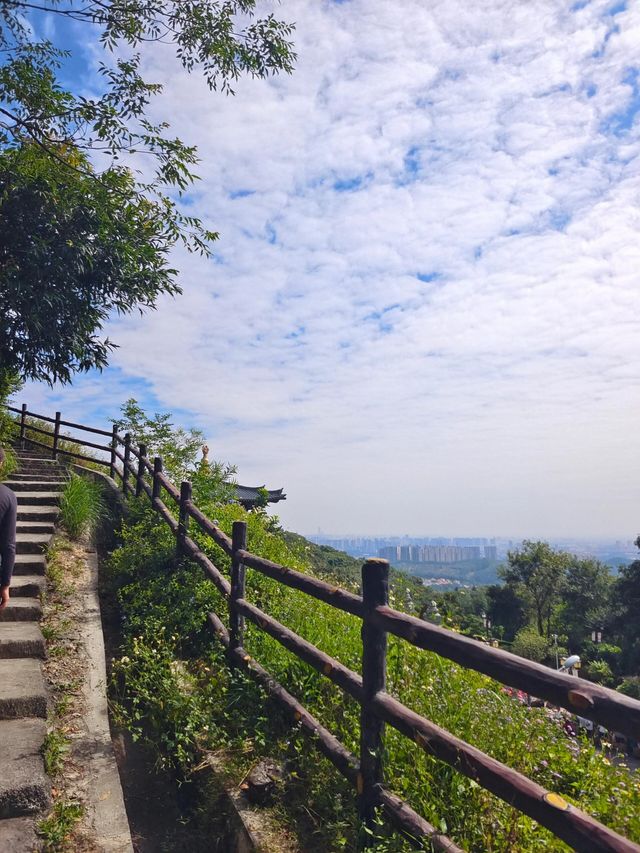 江門新會圭峰山天然氧吧。