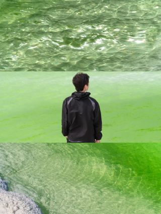 戈壁灘上散落人間的綠寶石。