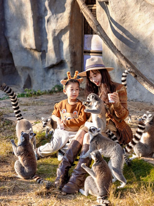 聽勸！淡季去青島野生動物世界可太幸福了。