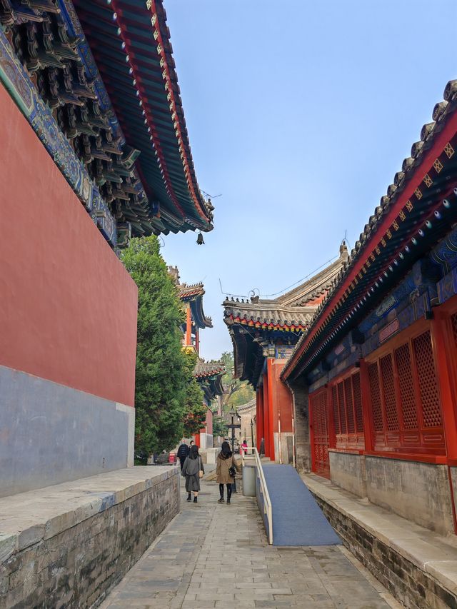 多彩京秋－萬壽寺。