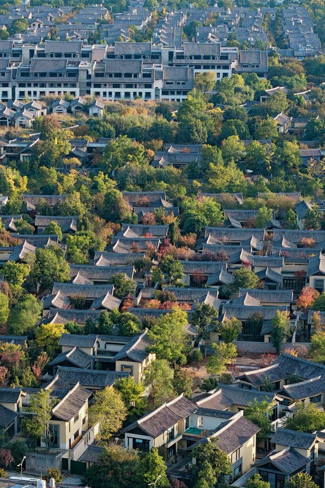 秋天來麗江 這份攻略收好。