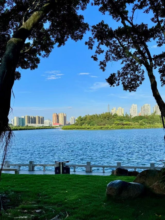 廈門真的看不厭系列之白鷺洲公園。