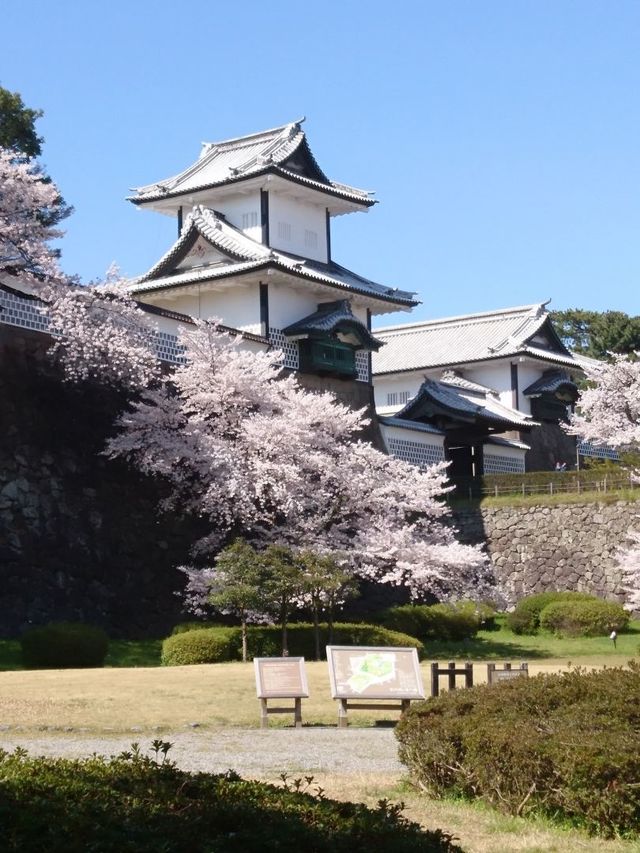 6日秋遊日本超全攻略別錯過。