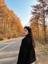 遼寧5A景區|第140站本溪五女山景區。