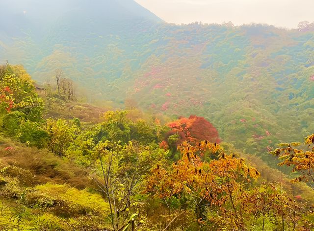 西安‧周至耿峪免費賞紅葉。