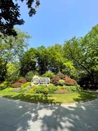 魔都最核心區域的五彩城市公園，中心湖碧波蕩漾。