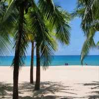 Yalong Bay: Where Luxury Meets Tropical Bliss