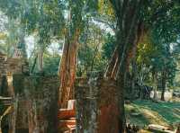 Koh Ker: Most Mysterious Ruins in Cambodia, Step into Altetered Reality