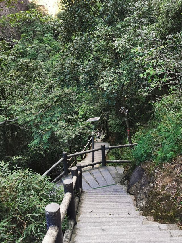 小小靈通山已累趴，懸空寺已去很值得！。