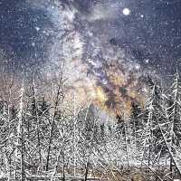 冷酷仙境,極地孤行