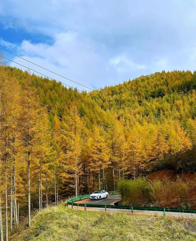 曾家山。