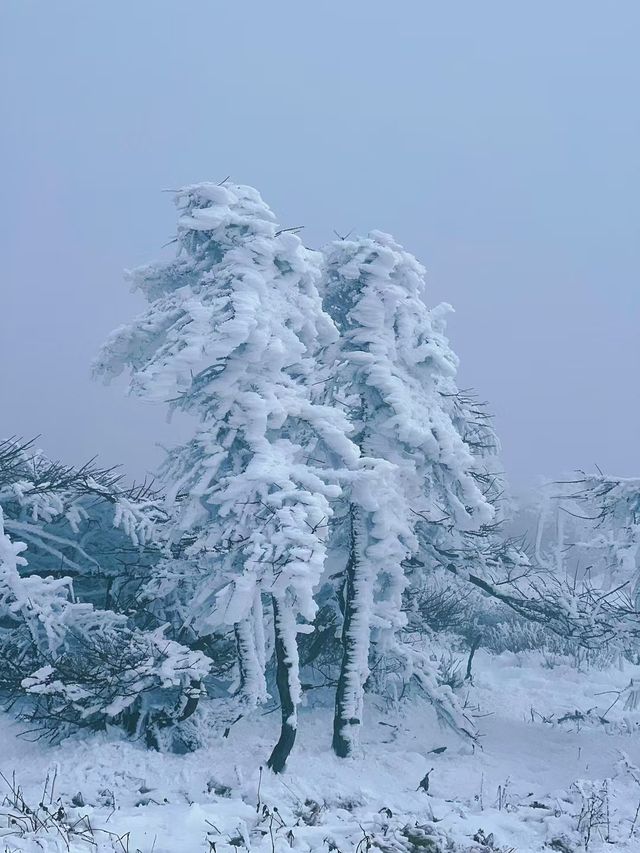 安康‖東梁下雪了。