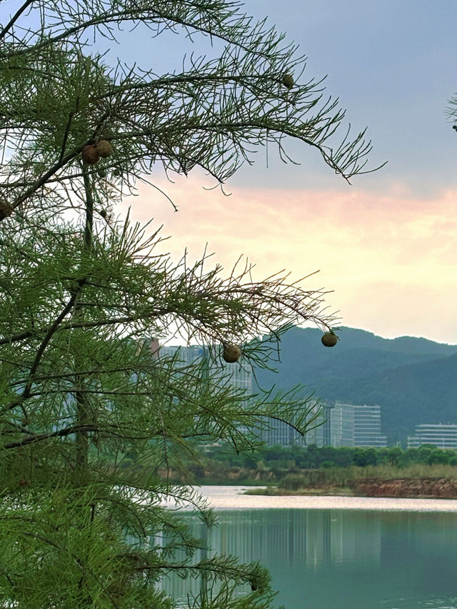 在廣州，離地鐵200米的大草坪沿湖碧道！