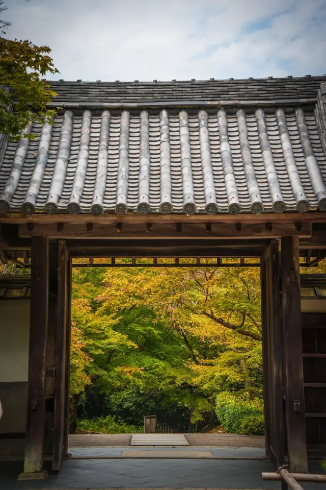 Nanzen-ji Temple is the most relaxing and effortless place to enjoy the red leaves in Kyoto. 