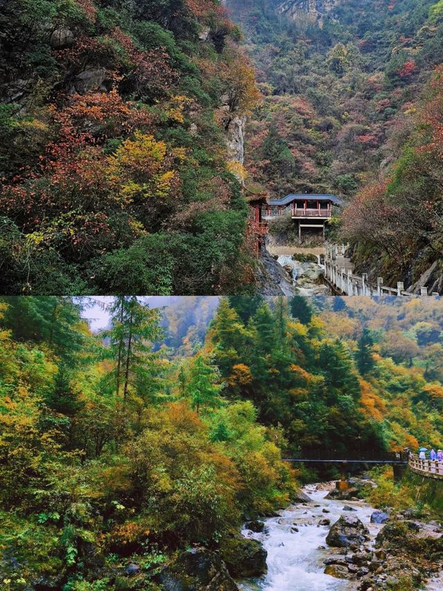 隴南十一月，詩意之旅絕佳時節！。