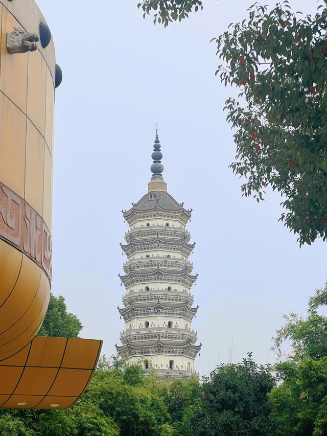新徽園,我又可以了。 新徽園,我又可以了。