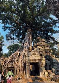 Discover the Majestic Beauty of Angkor Wat