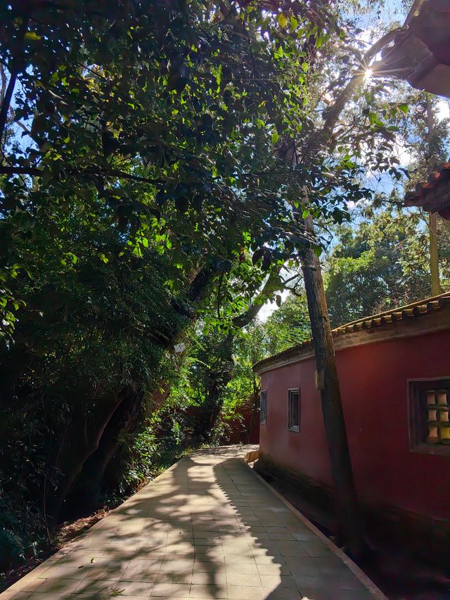 來到通海一定要來秀山公園逛逛
