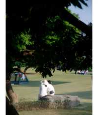 紅花山公園｜不出片可能是缺個攝影師。