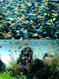 重慶漢海海洋公園位於重慶市巴南區嘉龍路133號。