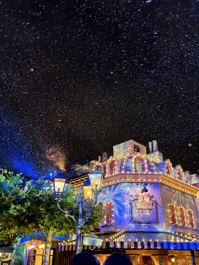 11.11 Live! Disney Christmas Season is Here 🎄 with Photo Tips 📷