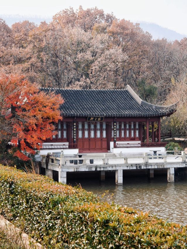 南京旅遊住宿攻略