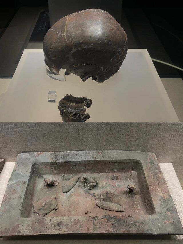 穿越千年！揭秘資陽博物館的歷史文化寶藏