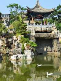 雲南昆明-建水-元陽8日遊 超詳細攻略拿走不謝