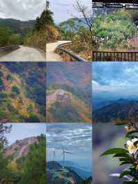 「【徒步天堂】陳平山：小眾秘境，與自然親密接觸的絕佳去處！」