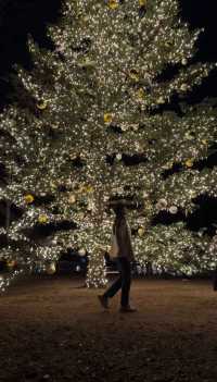 Experience a Romantic Christmas Near Tokyo: Karuizawa Kogen Church