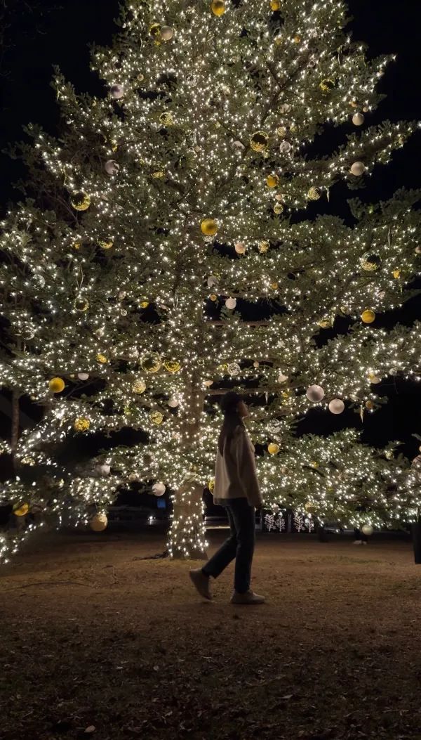 Experience a Romantic Christmas Near Tokyo: Karuizawa Kogen Church