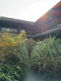 南園一尺花園
