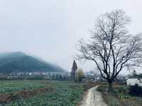 盧村遊之盧村觀景平台
