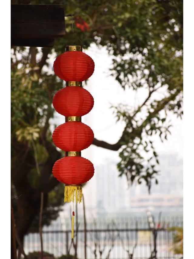 好懷念湖邊水庫龍年年味……