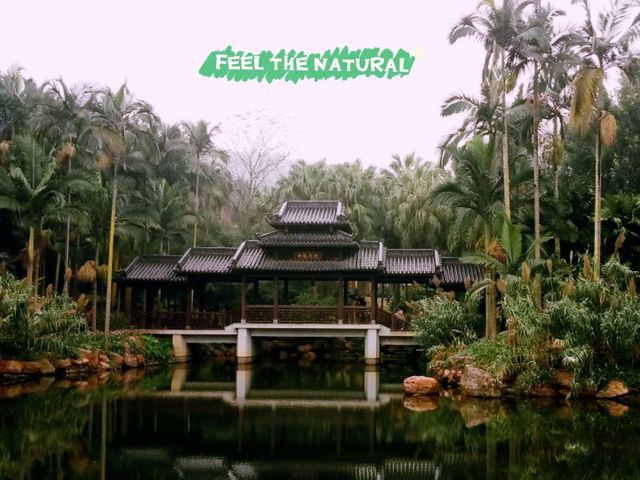 QingXiu Mountain of NanNing: Charming Fairy Tale Realm