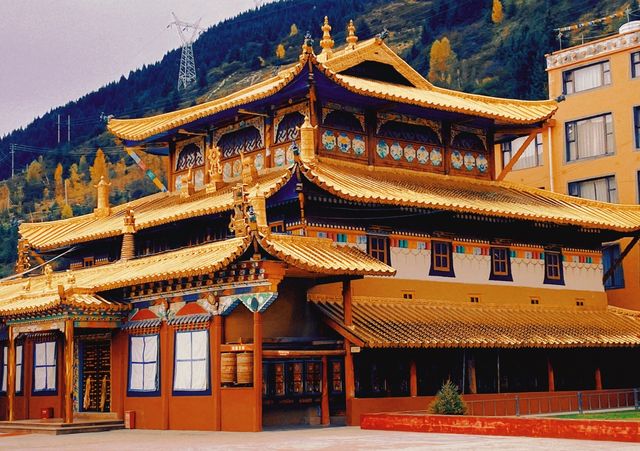 打卡-川主寺