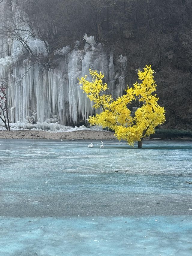 西安少華山公園森林｜西安周邊遇見最美藍色冰湖冰瀑
