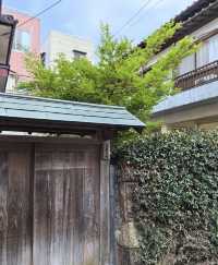 探索日本秘境：對馬市Miuda Beach嘅絕美風光