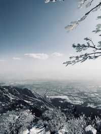 奔赴鄭州，只為一場「嵩山」之約
