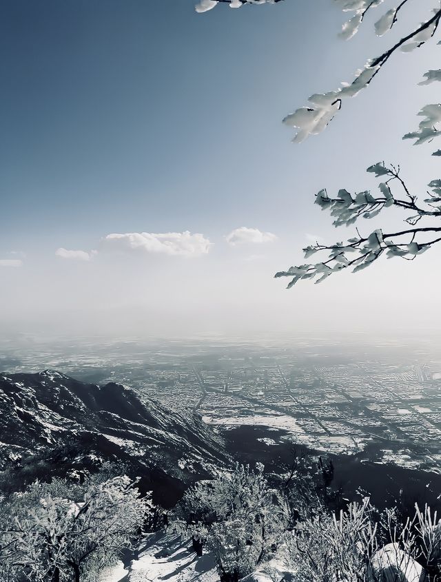 奔赴鄭州，只為一場「嵩山」之約