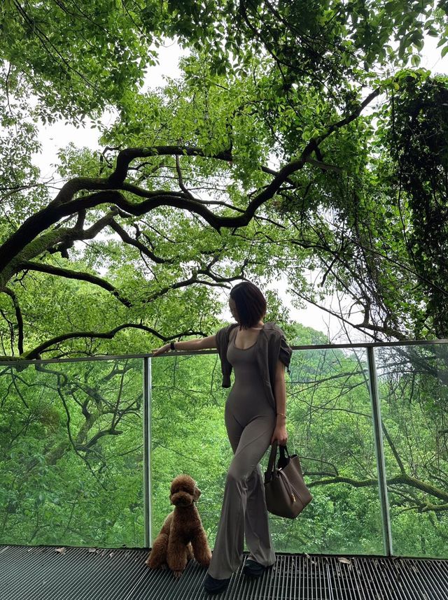 茅山風景區避坑指南