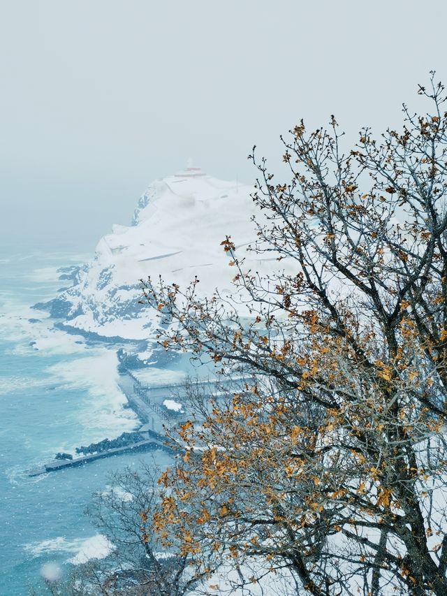 冬日小樽必打卡！祝津展望台的夢幻雪景