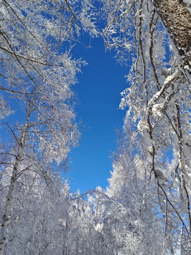 Jilin Changbai Mountain - Snow Town - Harbin | Winter Hot Spring Vacation Guide