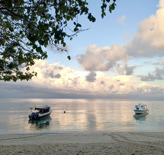 山打根海龜島｜海洋生命的庇護所