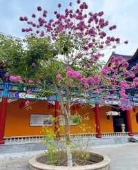哇！東華禪寺，充滿神秘色彩的聖地